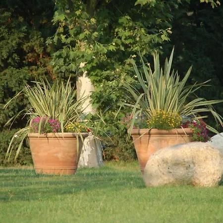 La Tourasse Les Tournesols Lamasquere