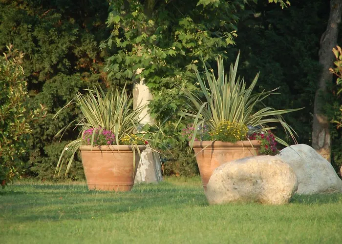 La Tourasse Les Tournesols Lamasquere